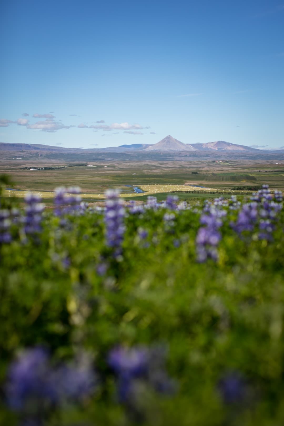 Baula þjónustumiðstöð – Nýtt deiliskipulag
